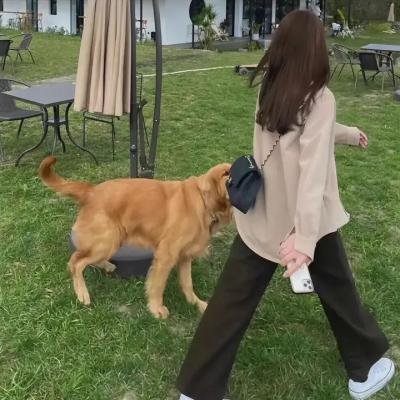 燃烧的玫瑰